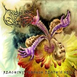 Reaching Through Death's Veil